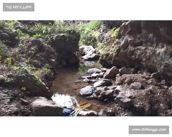 湖南慈利溶洞污染现状调查及其生态保护对策研究 湖南慈利溶洞污染现状调查及其生态保护对策研究